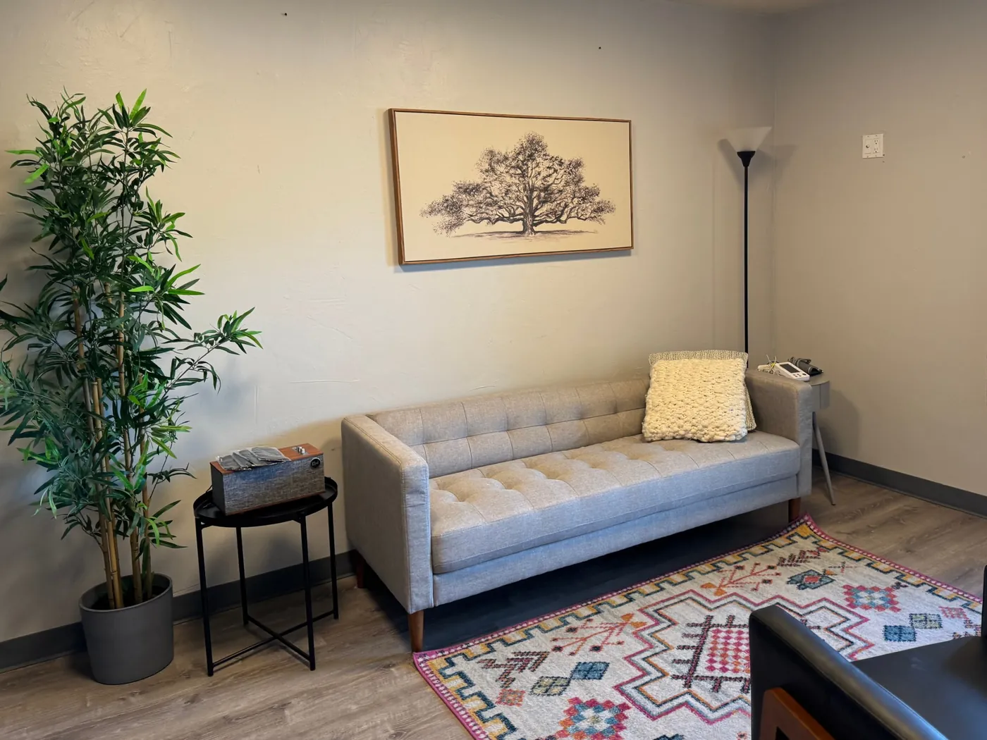 A room at the Inner Space Research office with a sofa, a tree print, a bamboo plant, and a colorful rug